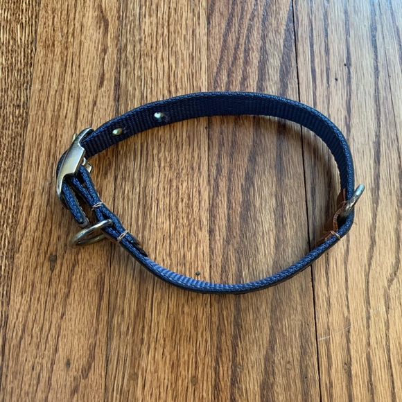 *HOST PICK* Penn State Dog Collar - Picture 4 of 14